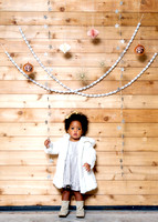 Holiday Mini Sessions 2016