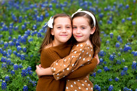 Bluebonnets March 2020